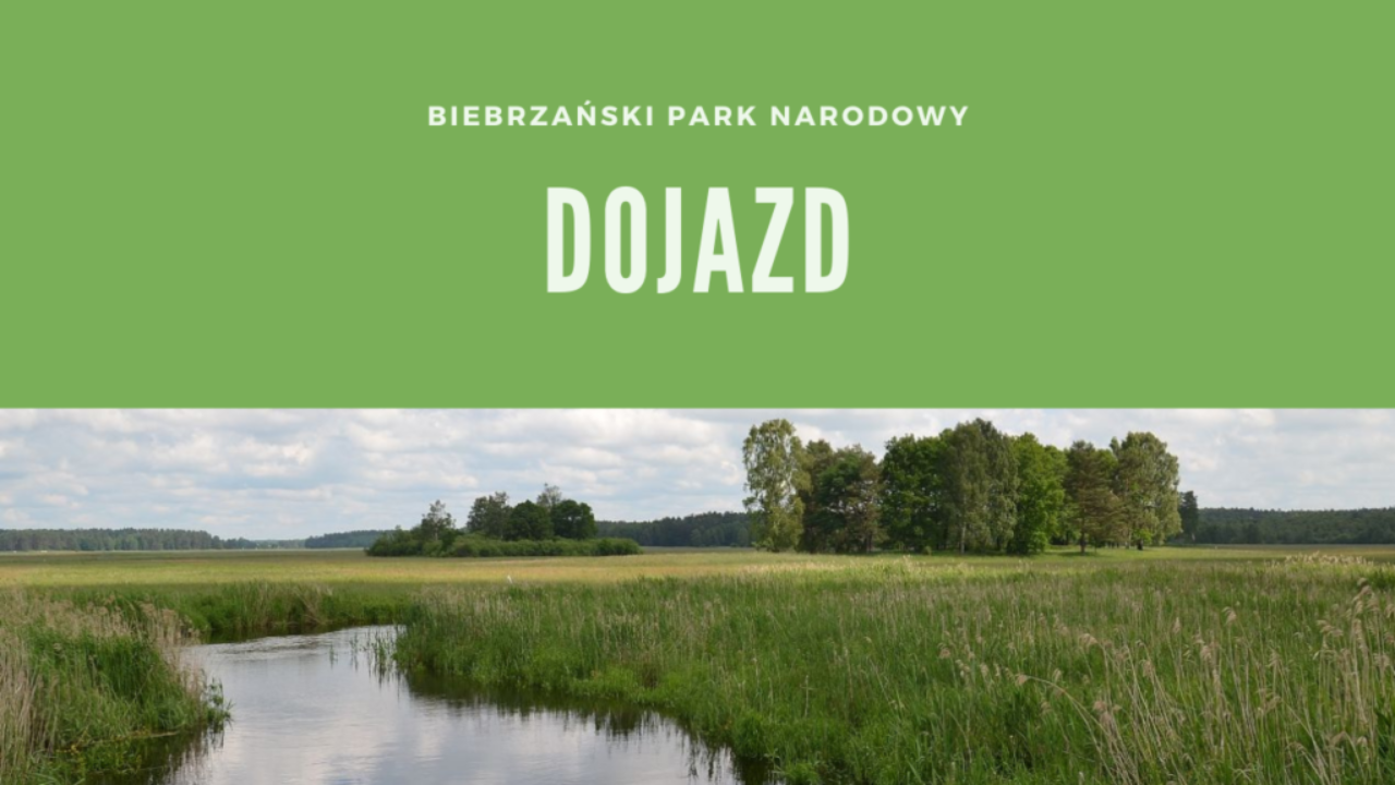 Biebrzański Park Narodowy Dojazd