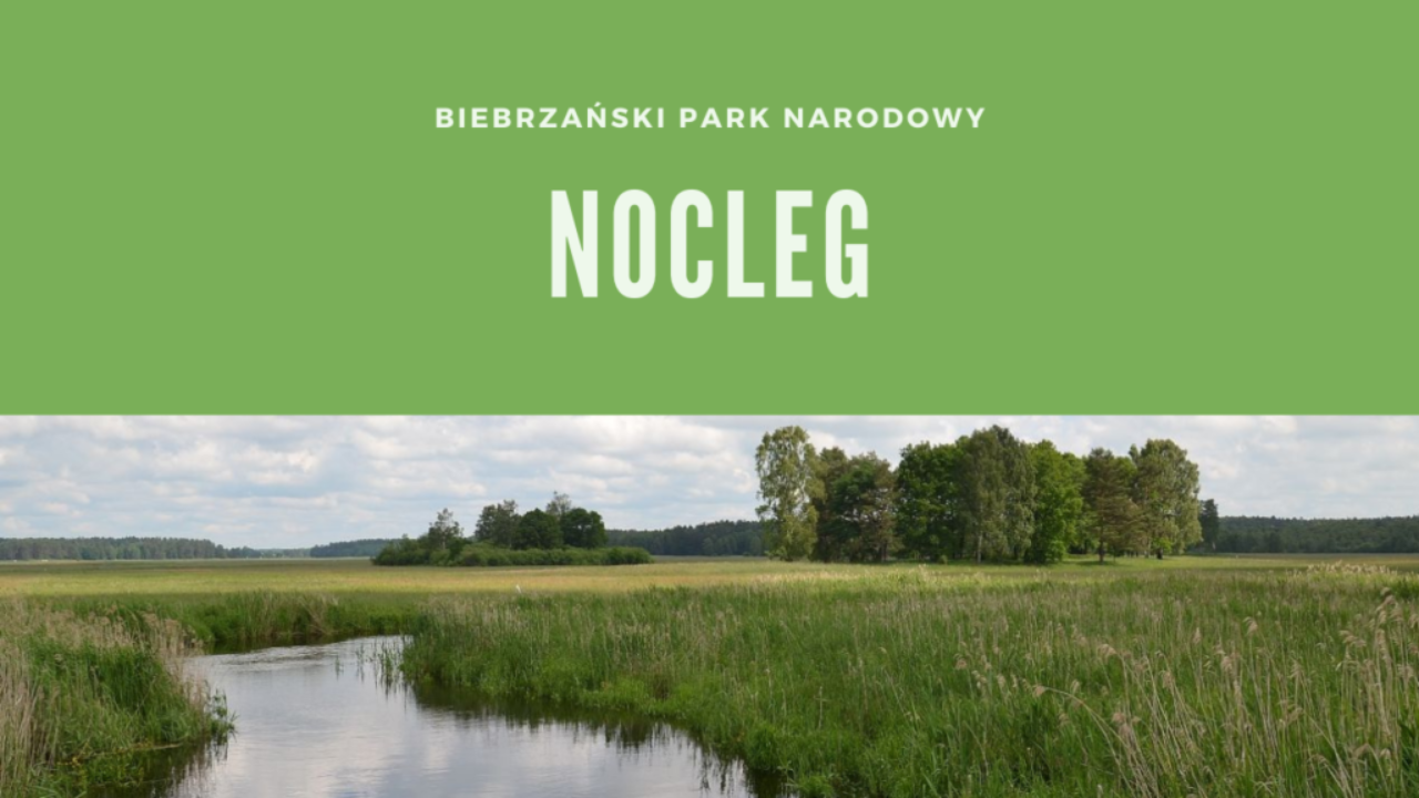 Biebrzański Park Narodowy Nocleg